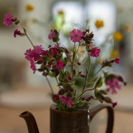 Gonna Dom W Gorach *